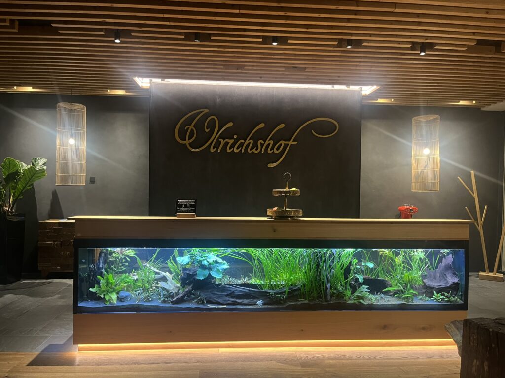 Der Empfangsbereich im Ulrichshof begrüßt die Gäste mit warmen Farben und interessanten Details für Kinder.