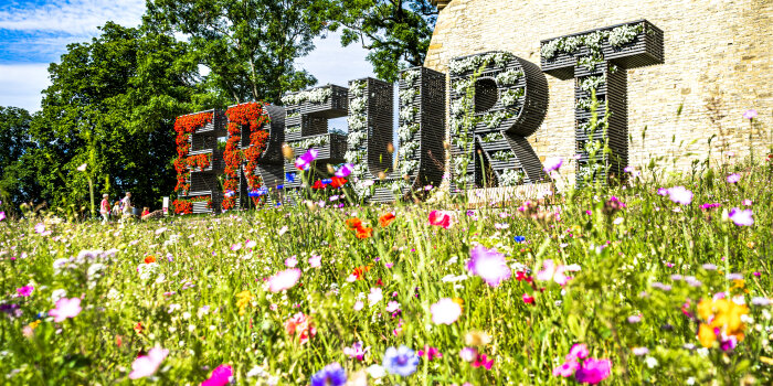 Erfurt erobert Platz eins im Städteranking