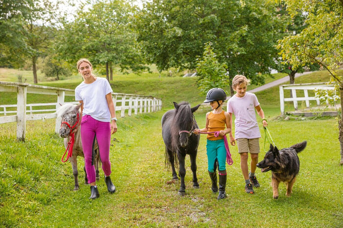 Eine Betreuerin spaziert gemeinsam mit zwei Kindern, zwei Ponys und einem Hund über das Gelände des Reitzentrums im Aldiana Club Ampflwang.