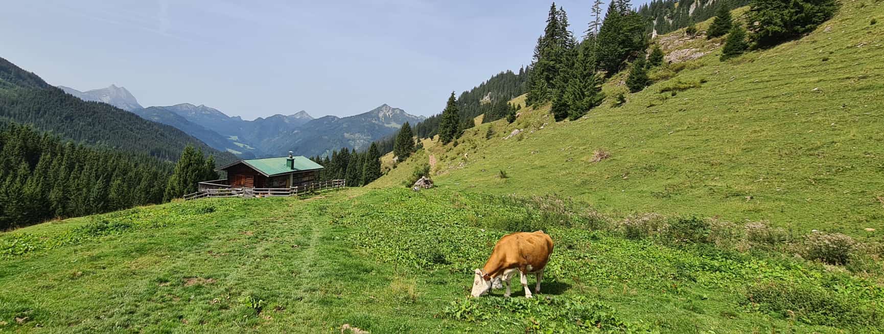 Ein Tag auf der Ackernalm: „Es ist so schee hier oben“